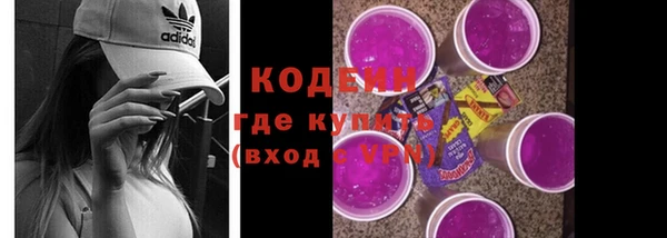 гашик Богданович