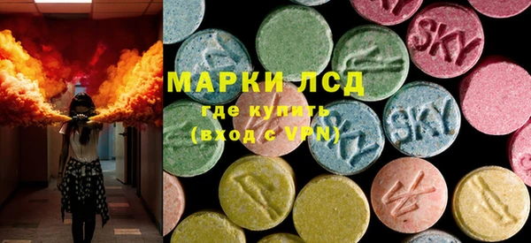 гашик Богданович