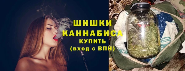 гашик Богданович