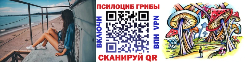 Галлюциногенные грибы MAGIC MUSHROOMS  Котлас 
